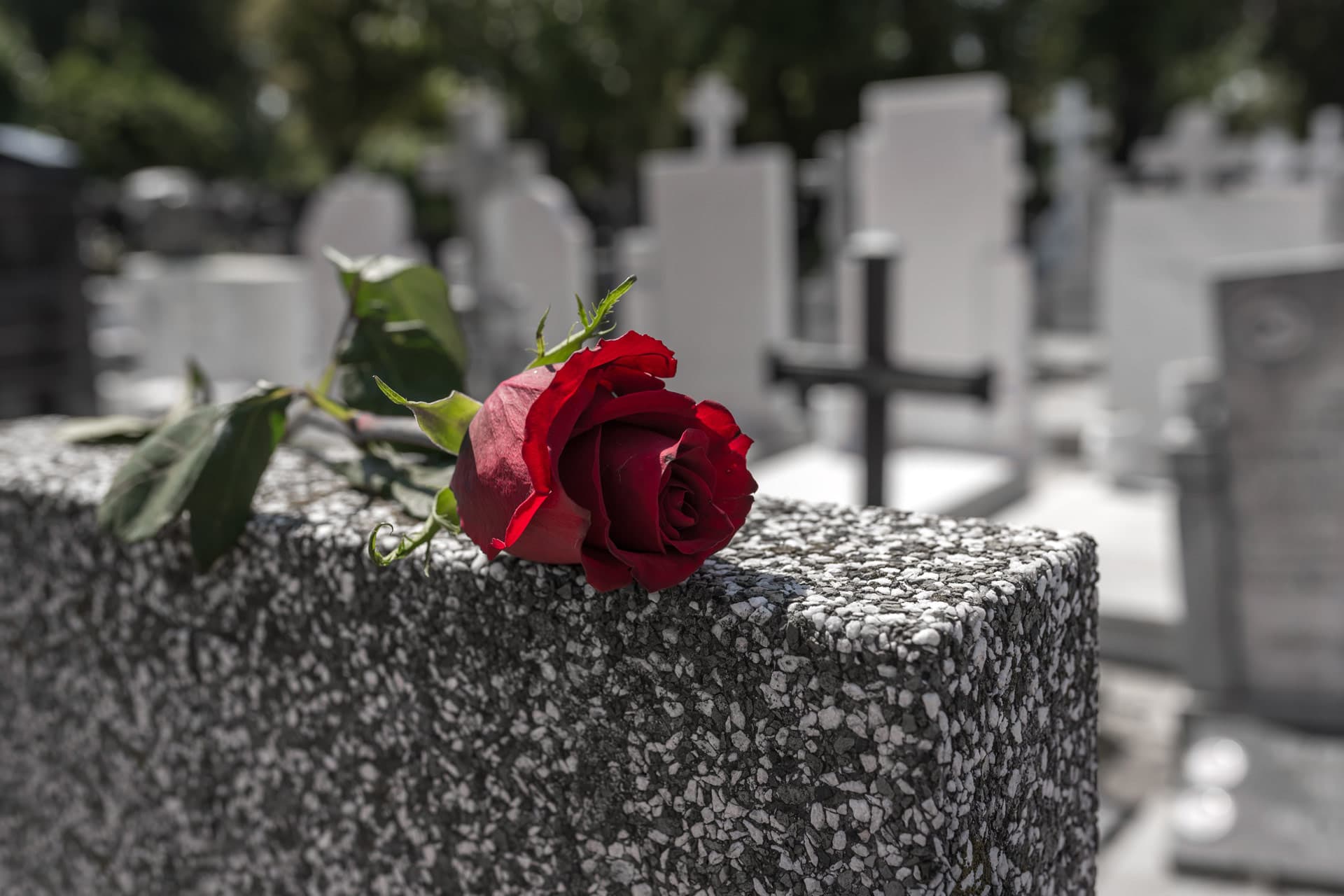 Contacte con Pompas Fúnebres do Baixo Miño