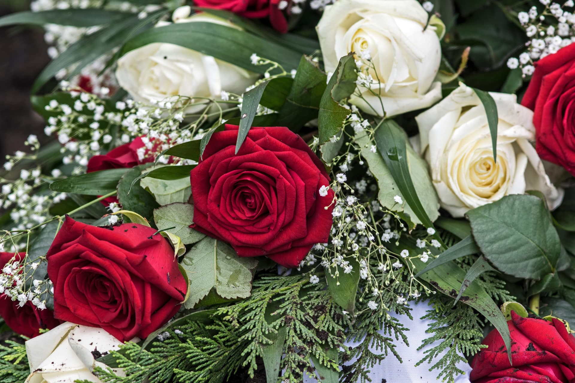 ¿Desea más información?