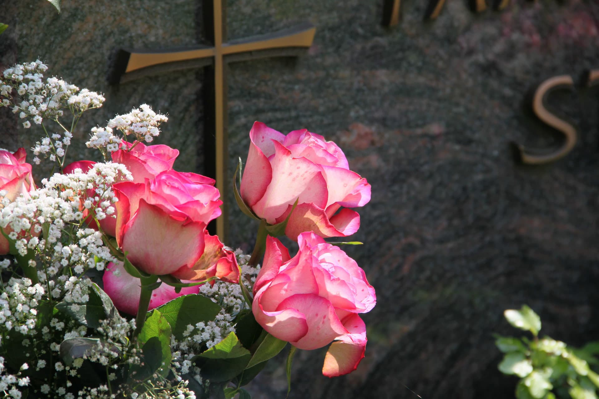 Pídanos más información